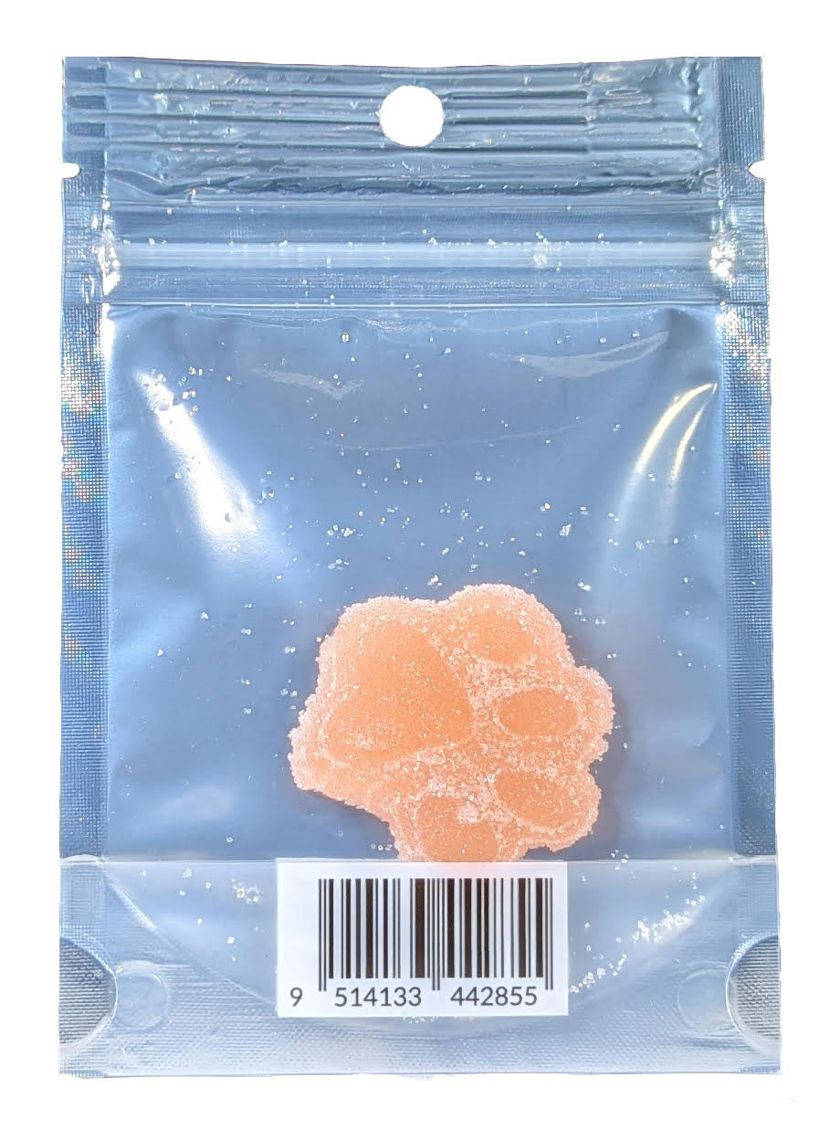 Gold Lion Gummy 24ct Display