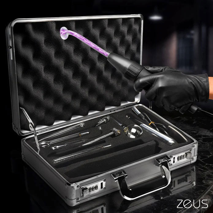 Zs Ultimate Edition Violet Wand Set